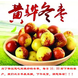 海興郵政 滄州黃驊冬棗3斤包郵 皮薄肉脆 甘甜清香 京津冀拍下多送2斤圖片大全 郵樂(lè)官方網(wǎng)站